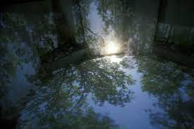 Partly built under ground, beneath some large trees on a wooded slope in the grounds of the north carolina museum of art, the work is the first in a series commissioned for the museums outdoor sculpture trail. Cloud Chamber For The Trees And Sky Ncmalearn
