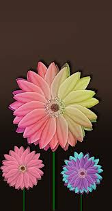 Wallpaper Iphone Iphone 7 Wallpaper Backgrounds Iphone Wallpaper Flower Wallpaper