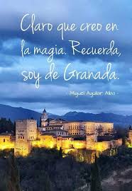 Pin De Noemi Mateos En Frases Imagenes Graciosas Gracioso Granada