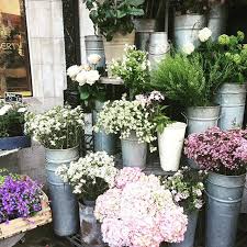 Elenascarpa On Instagram More Libertylondon Flowers London Latergram Flowers Liberty Flowers Flower Garden Floral