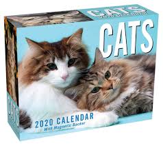 A wide variety of cat calendar 2020 options are available to you, such as offset printing, digital printing. Cats 2020 Mini Day To Day Calendar Andrews Mcmeel Publishing 9781449497699 Amazon Com Books