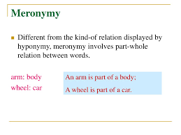 A meronym denotes a constituent part of, or a member of something. Ppt English Lexicology Meaning Relations Powerpoint Presentation Free Download Id 529718