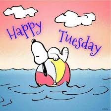 Image result for tuesday