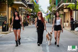 Villalobos rescue center, from the series pit bulls & parolees, was in. Pit Bulls And Parolees Here S To The Women That Inspire Us To Root For The Underdog Internationalwomensday Facebook