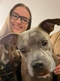 Hi. New here. This is Stella. She has her tongue out a lot of the time.  Such a smarty pants though. Love her to death. ❤️