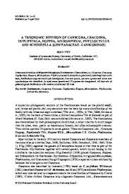 Image result for Schinziella