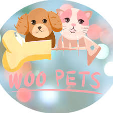 28 221 564 просмотра • дата премьеры: Woopets Woopets Cat Videos 2020 Funny Cats And Dogs Videos Compilation 17 Facebook