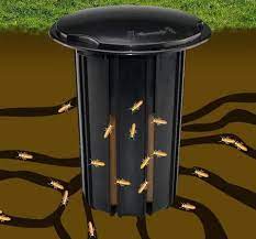 Advanced Termites Bait Station Outdoor Termite Bait Termites Diy Termite Treatment