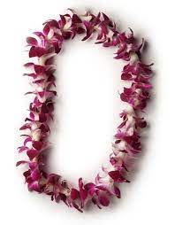Fresh Hawaiian Orchid Leis Loose Orchid Blooms Orchid Lei Hawaiian Lei Leis