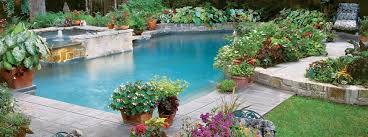 Pool Landscaping Ideas To Create Your Own Nashville Backyard Paradise Choosing a look or theme will help you decide what type of.
