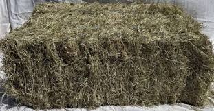 Check spelling or type a new query. 2 String Coastal Bermuda Hay Standard 2 String Grass Bale At Tractor Supply Co