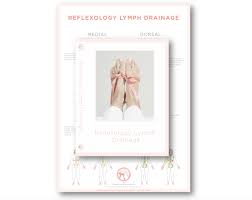 Reflexology Lymph Drainage Rld Sally Kay