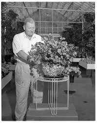 » ann arbor here are a few photos from around ann arbor that i kind of like, in some ways, but don't take this as an overall representative view of the city because i'm not that dedicated. Award Winning Begonia At Nielsen S Greenhouse Ann Arbor District Library