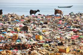 Plants fight for territory, seek out food, evade predators and trap prey. Land Pollution Britannica