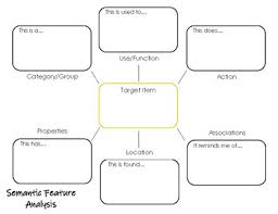 Semantic Feature Analysis