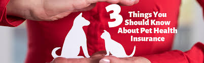 A pet health insurance is, as you may have already guessed it, almost the same as the kind of health insurance that we have. Penn Vet Blog Details