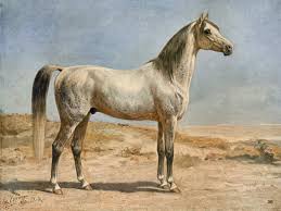 See more ideas about horses, arabians, arabian horse. Otto Eerelman Arabian Horse Art Print Canvas On Stretcher Framed Picture