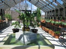 Sign up for free today! Inside A Residential Greenhouse With A Custom Built Fountain The Gardener Is Growing A Cactus Palms Greenhouse Cotton House Hotel Barcelona Planting Flowers