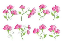 Download Sweet Pea Flower Vectors Ai Eps Svg Uidownload