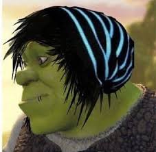 Pin By Bella Aragon On Vereena Inspo Shrek Funny Memes Memes