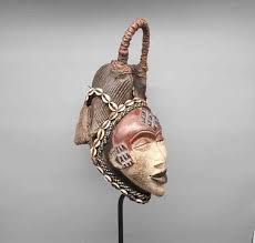 Image result for Hua gabonii