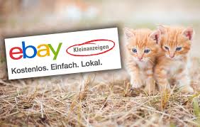Последние твиты от ebay kleinanzeigen (@ebay_ka). Ebay Kleinanzeigen Fuhrt Hartere Regeln Und Verbote Fur Tierverkaufer Ein Cat News Net
