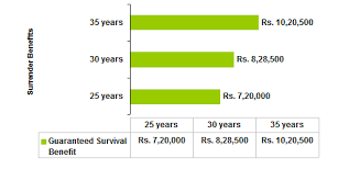 Birla sun life insurance company limited (bsli) is a joint venture between the indian conglomerate aditya birla group, and sun life financial inc., an international financial services organisations from canada. Birla Sun Life Vision Plan Review Key Features Benefits