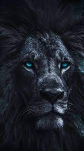 Iphone Wallpapers For Iphone 12 Iphone 11 Iphone X Iphone Xr Iphone 8 Plus High Quality Wallpapers Ipad Backgr In 2021 Lion Wallpaper Iphone Wallpaper Lion Images