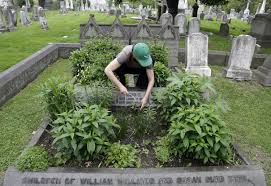 These rootstocks can form suckers, which monitor the bush. Grave Gardeners Volunteers Help Spiff Up Old Cemeteries
