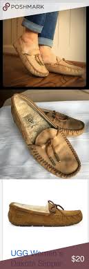 Ugg Dakota Slippers Ugg Dakota Slippers Uggs Ugg Dakota