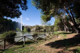 Check spelling or type a new query. Pineta Dannunziana A Pescara Fidelity Viaggi