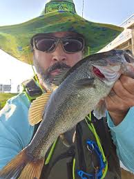 Where to fish at Hyco lake?