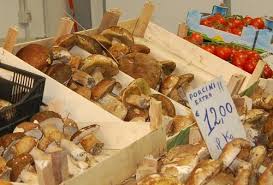 2.porcini (bolete) mushrooms are also a rich in dietary fiber and are low in both saturated and. Boletus Edulis Receta Y Maridaje 1 4 Verema