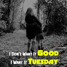 Browse the collection of good morning images provided here and get ready to share it with your friends. Best Tuesday Status Latest Tuesday Quotes Thoughts Images