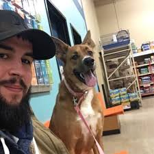 Gavin Beard (@grizzman_G)