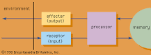 Image result for what is Information Processing - Answers