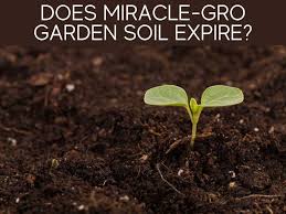 How to use miracle gro garden soil. Can I Use Miracle Gro Garden Soil In Pots Greenhouse Today