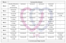 Calculadora Gestacional De Meses Para Semanas Equivalencia Semanas Meses Embarazo Buscar Con Google 26 Semanas De Embarazo Embarazo Semana A Semana Embarazo