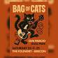 Bag of Cats event image