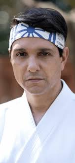 Who do you like better as a character, Daniel LaRusso or Terry Silver? :  r/cobrakai