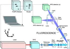 For details of specific models see the specification tab or download the data sheet. Fluorescence Anisotropy In Indole Under Two Photon Excitation In The Spectral Range 385 510 Nm Physical Chemistry Chemical Physics Rsc Publishing