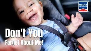 Nicholas Voorhies's Instagram, Twitter & Facebook