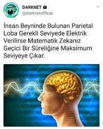Queen Adli Kullanicinin Bilinmeyen Bilgiler Panosundaki Pin Bilgi Karti Gizli Bilgi Bilgi Islem