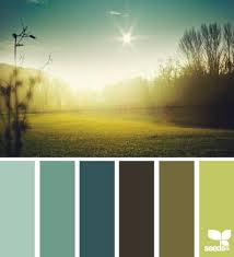 Morning Light Design Seeds Color Inspiration Colour Schemes