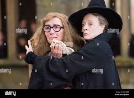 Image result for tbn:cwVrSrWzM5GfbM::harrypotterrecopilac.galeon.com/foto_todos.jpg