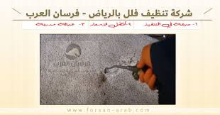 شركة تنظيف فلل بالرياض شركة فرسان العرب للخدمات المنزلية