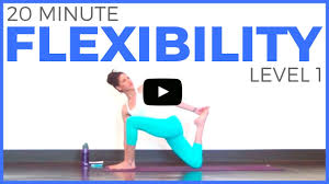 Yoga is a wonderful exercise to work your mind, soul and body. 20 Minute Yoga For Flexibility Level 1 Full Body Yoga Stretch Sarah Beth Yoga Youtube
