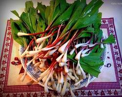 Ramps festival in Pocahontas County, WV