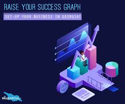 Professional Advice On How To Set Up A Company In Georgia Georgia Company Business