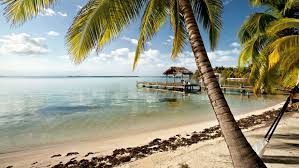 Travel Alert: Mosquito-Borne Illnesses Rise in Belize